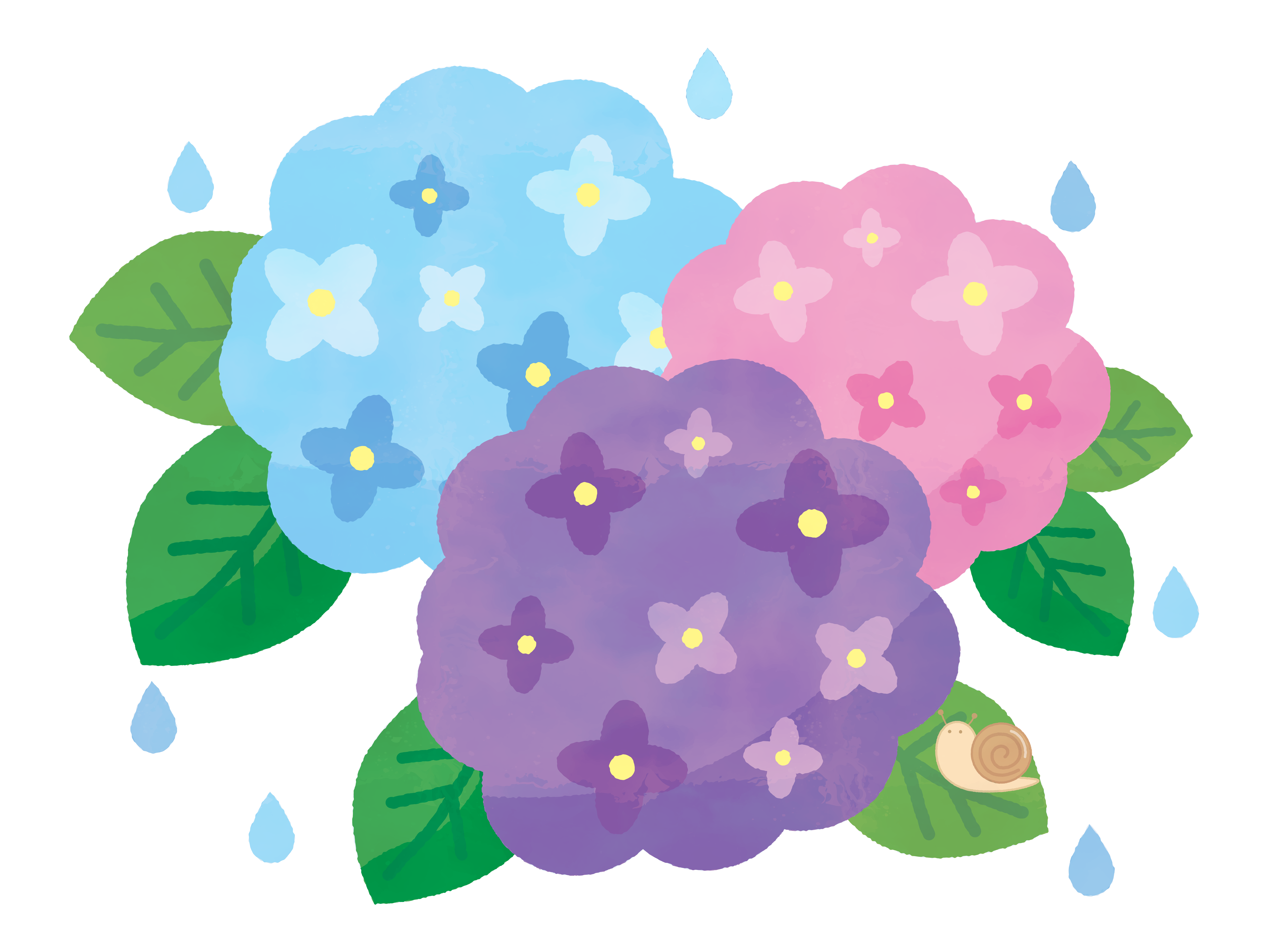 梅雨入り前は、お口の健康を見直す良いタイミングです